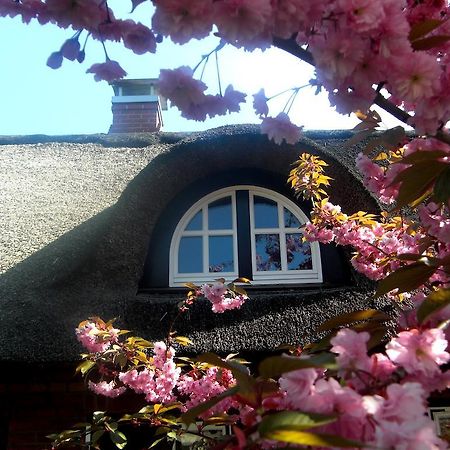 Das Reetdachhaus - Paulines Hoeft Grömitz Exterior foto