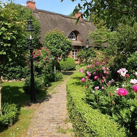 Das Reetdachhaus - Paulines Hoeft Grömitz Exterior foto